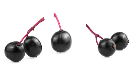 Black berries of European elder isolated on a white background, healthy food. Sambucus. Macro.