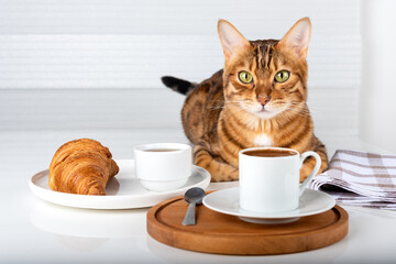 A cute cat sits on a table near a plate with a croissant and a coffee cup.