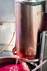 making of red wine  by winepress