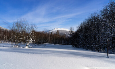 Bieszczady, Polska , połonina , góry, Karpaty