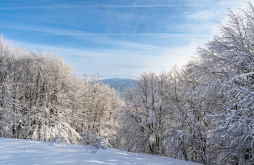 Bieszczady, Polska , połonina , g&oacute;ry, Karpaty