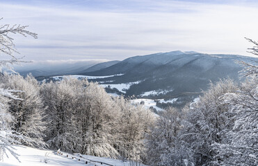 Bieszczady, Polska , połonina , góry, Karpaty