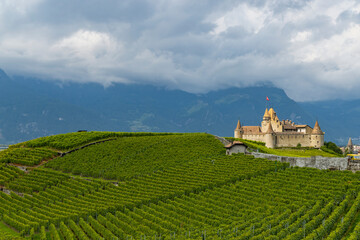 Castle Chateau d'Aigle in canton Vaud, Switzerland