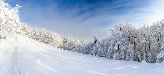 Bieszczady, Polska , połonina , góry, Karpaty