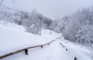 Bieszczady, Polska , połonina , góry