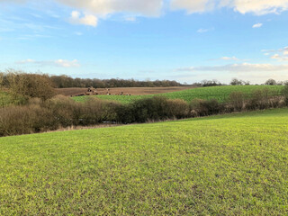 The Countryside near Hanmer