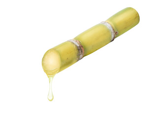 Sugar cane juice dripping isolated on white background.