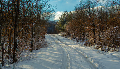 Road in the mountains covered with snow