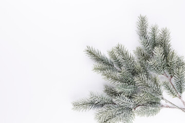 Christmas border  fir branches on a white background