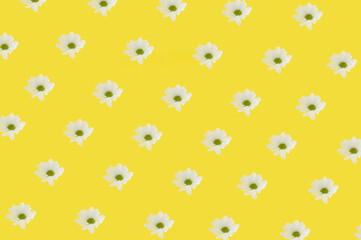 Spring pattern with white flowers on the yellow background