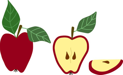 Red apple whole, half and piece, seeds, green leaves and branch isolated on white background. Vector hand drawn illustration.