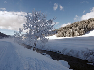 Fototapeta na wymiar scenico e solitario panorama della natura innevata sulle Dolomiti