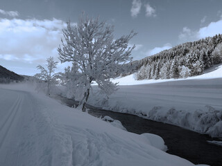 scenico e solitario panorama della natura innevata sulle Dolomiti