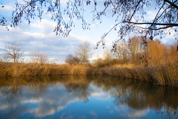 Small lake with reflections