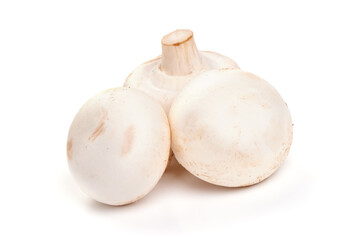 Champignons, close-up, isolated on white background. High resolution image.