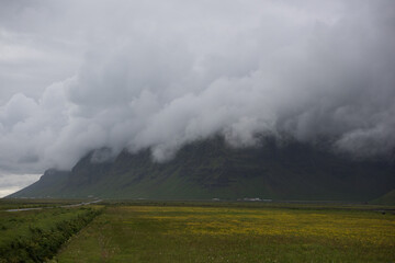 Green Grassy mountain Landscape in the highlands. Travel and nature on a beautiful cold day