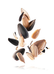 Fresh sunflower seeds falling in the air isolated on white background. Food levitation concept