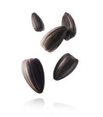 Fresh sunflower seeds falling in the air isolated on white background. Food levitation concept