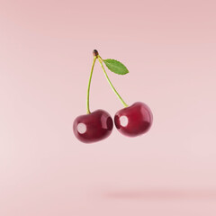 Fresh raw cheery falling in the air on pink background.