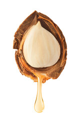 Apricot oil dripping from the seed. isolated on white backround.