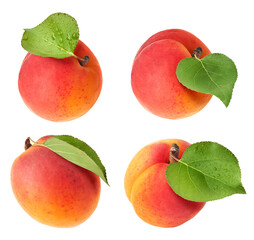 A set with Fresh raw sweet Apricot with green leaves isolated on white background.