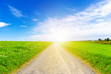 Road in a field of green grass and blue sky. Bright sunny summer day.