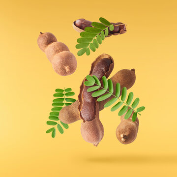 Fresh ripe tamarind fruit falling in the air
