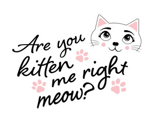 Are you kitten me right meow? Cat with paw icons and text on a white background.