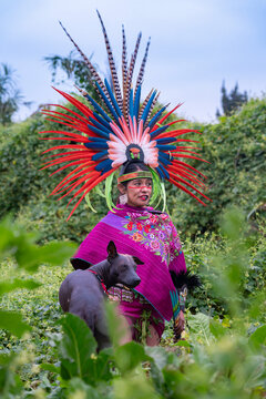 Aztec dancer and a Mexican dog known as Xoloitzcuintle in the field also known as "Chinampa" in Xochimilco, Mexico, with the traditional Aztec clothing and accessories like "Penachos" or "Huipiles".