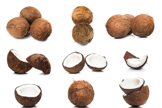 Collection of different coconuts on white background