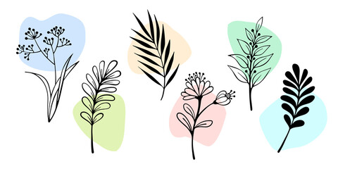 Botany Set with grass and leaves in hand drawn sketch style. Line art. Ink drawing. Black and white botany elements on colorful blobs.