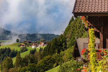 Fototapeta na wymiar View of green meadow in mountains from typical wooden house balcony village on Alps, Austria.