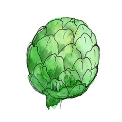 Green artichoke painted in watercolor and isolated on a white background. Sketch style illustration