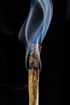Partially burnt cannabis joint. 