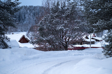 View in a village road in a snowy winter.