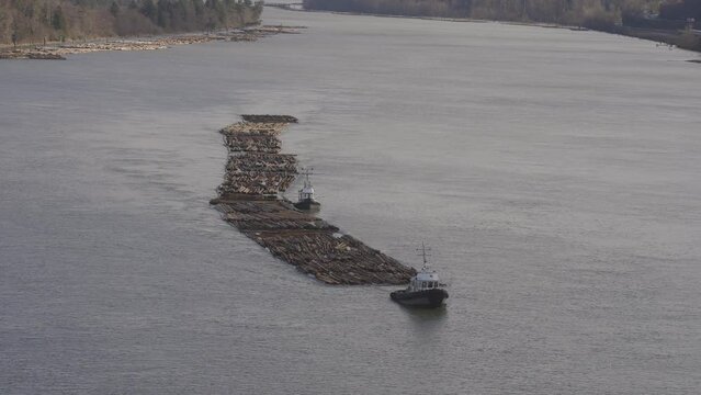 Logs pulled by a tugboat on Fraser River. Aerial View from Port Mann Bridge. Vancouver, British Columbia, Canada