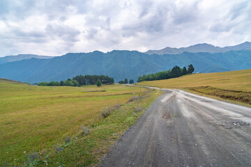 Fototapeta na wymiar Mountain road in the high mountain village Tusheti, Omalo. Georgia