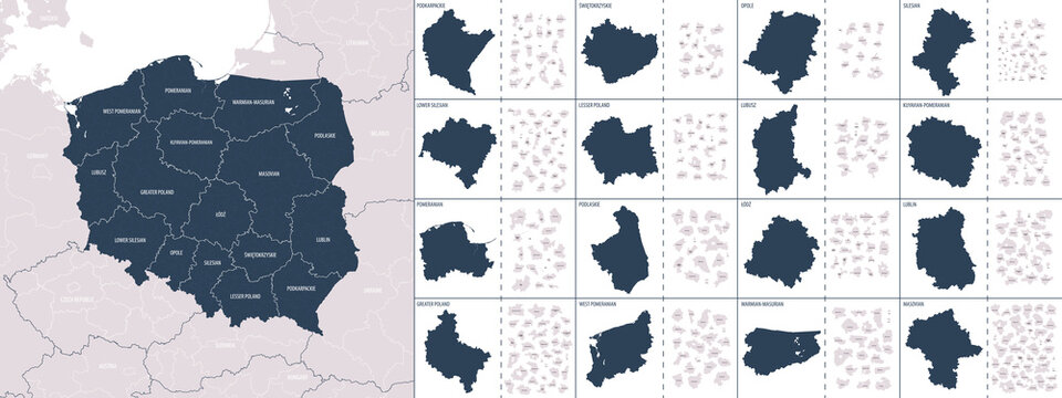 Fototapeta Vector color detailed map of Poland with administrative divisions of the country, each provinces (voivodeships) is presented separately in-highly detailed and divided into counties (powiats)