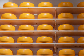 Cheese at an Amsterdam cheese shop