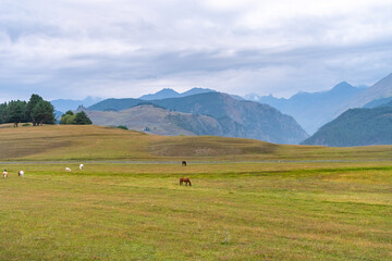 Beautiful landscape of the mountainous region of Georgia, Tusheti