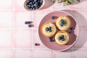 Cake tart with blueberries and whipped cream on a pink background top view copy space for text