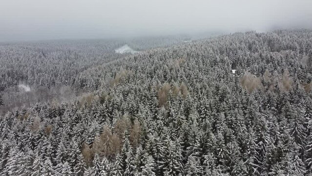 Drone footage of coniferous forests covered with snow in fog and light snowfall. Typical Czech landscape in the Eagle Mountains. Winter wonderland. 4k video