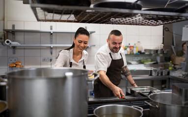 Happy chef and cook working on their dishes indoors in restaurant kitchen.
