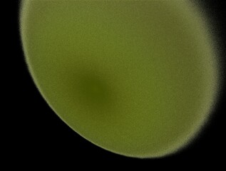 Imaginatory fractal abstract background Image