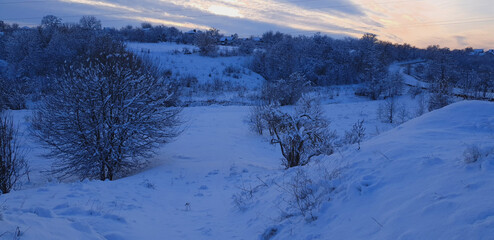 snowy landscape in blue tones