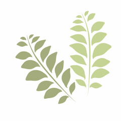 Green cartoon leaves. Botanic elements.