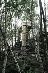 New and modern lookout forest park The Guard Patrol, Czech: Straz, on Straznik Hill above Rokytnice nad Jizerou, Giant Mountains National Park