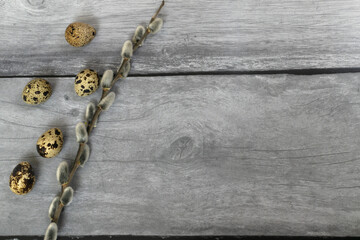 Easter background. Willow branch and quail eggs on the left on wood background