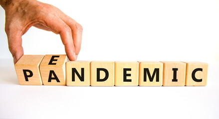 Covid-19 pandemic or endemic symbol. Doctor turns wooden cubes and changes the concept word pandemic to endemic. Beautiful white background copy space. Medical Covid-19 pandemic or endemic concept.
