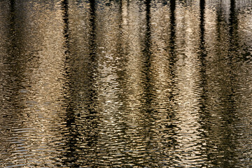 Reflection of trees on the surface of rippled water 